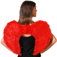 Ailes en plumes pour adulte de 60 x 45 cm