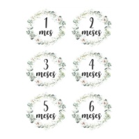Papier de riz pour mois-anniversaire de 1 à 6 mois de 29,7 x 42,5 cm - Artis décor - 1 unité
