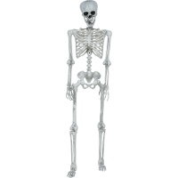 Squelette articulé décoratif de 1,45 m