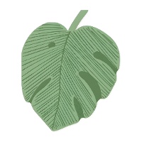 Serviettes motif feuille Monstera 18 x 14,5 cm - 12 unités