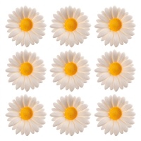 Figurines de sucre en forme de marguerites blanches de 4,5 cm - Dekora - 48 unités