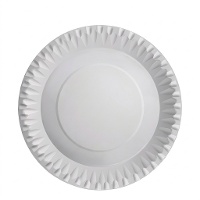 Assiettes en carton métallisé de 23 cm - 10 unités