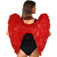 Ailes de plumes pour adulte de 65 x 65 cm