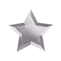 Assiettes de 27 cm étoilées métallisées - 6 unités