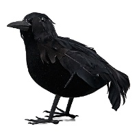 Corbeau noir de 16 cm