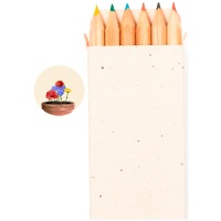 Crayons de couleur en boîte avec graines - 6 unités