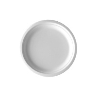 Assiettes en carton de 20 cm - 25 unités