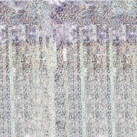 Rideau holographique de 2 x 1 m