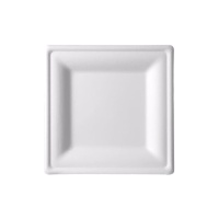 Assiettes carrées de 20 cm en canne à sucre - 5 unités