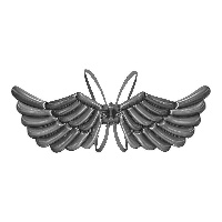 Ailes d'ange noires en ballon de 1,03 x 0,50 m