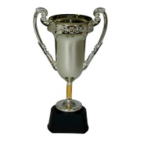 Trophée de champion de 20 cm