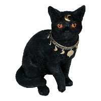 Chat noir spirituel de 28 x 23 cm