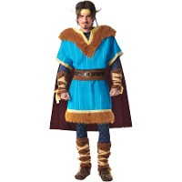 Costume de viking bleu pour homme