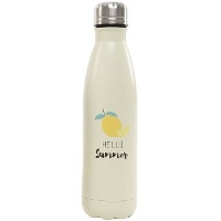 Bouteille de 0,50 L de Summer citron