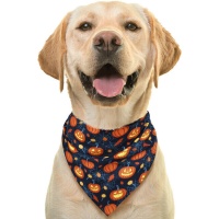 Foulard de citrouilles pour animaux de compagnie