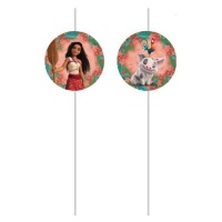 Pailles de Vaiana de 22 cm - 4 unités