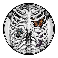 Assiettes à motif de squelette avec insectes de 23 cm - 6 unités