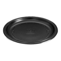 Assiettes rondes en plastique résistantes de 25 cm - 10 unités