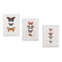 Tableaux de papillons de 30 x 40 cm - 3 unités