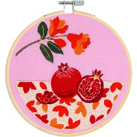 Kit de broderie - Grenade - DMC