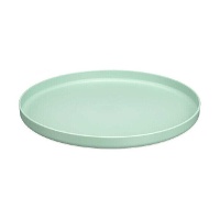 Assiette plate réutilisable de 25 cm - 1 unité