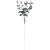 Branche d'Eucalyptus de 60 cm