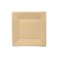 Assiettes carrées biodégradables en fibres de bambou de 20 cm - 10 unités