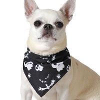 Foulard d'Halloween à motifs de crânes pour animaux de compagnie