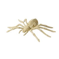 Squelette d'araignée de 24 x 12 cm