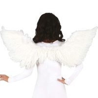 Ailes en plumes - 52 cm